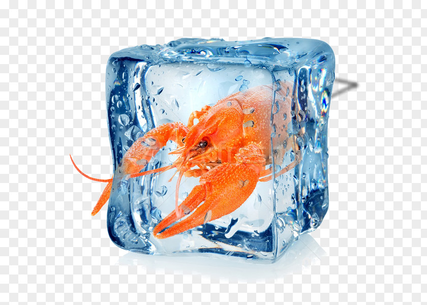 Ice Royalty-free Cube Stock Photography PNG