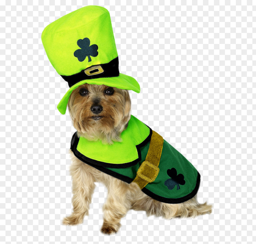 Saint Patricks Patrick's Day Dog Clothing Costume Dress PNG