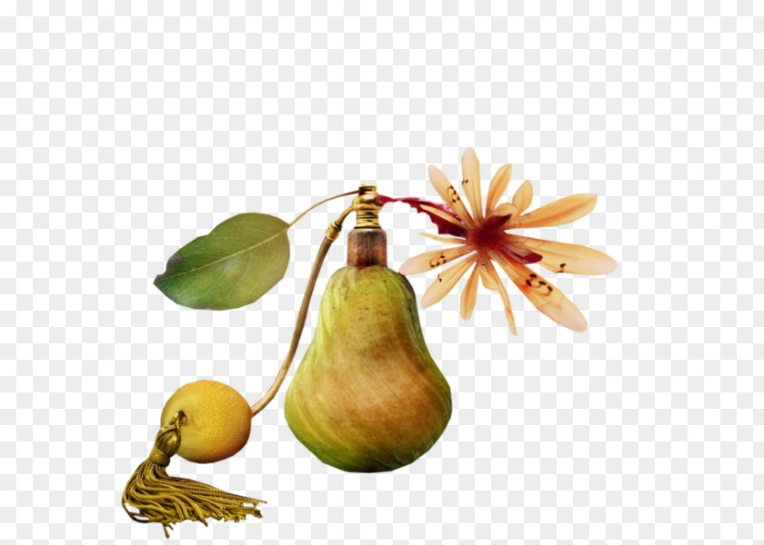 The New Concept Of Jewelry Pear-shaped Bulb Pear Perfume PNG