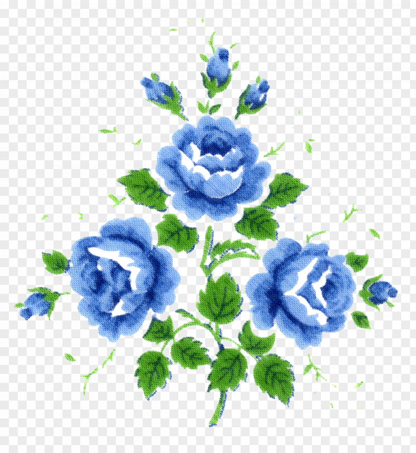 Watercolor White Flower Cut Flowers Blue Scorpion Grasses Floral Design PNG