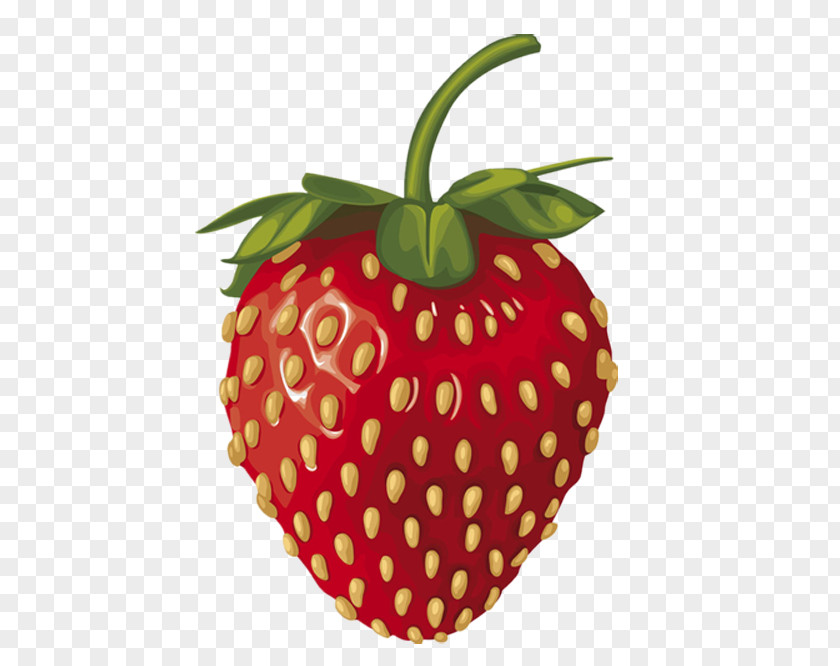 A Large Strawberry Wild Amorodo Illustration PNG