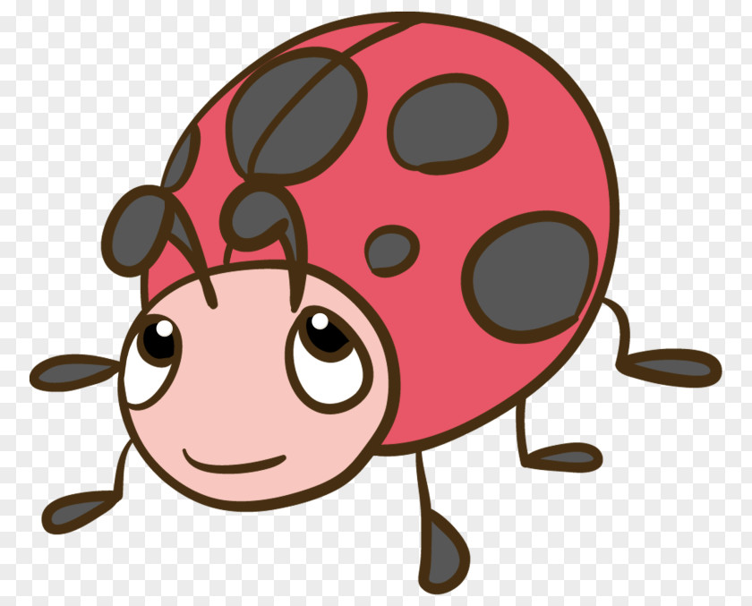 Coccinella Septempunctata Aphid Insect Clip Art PNG