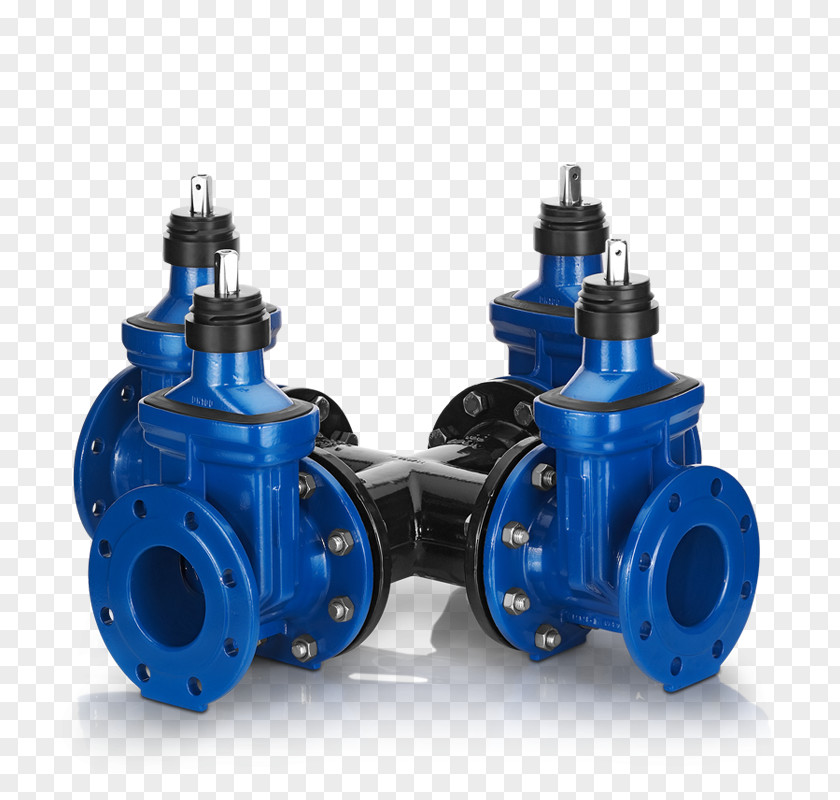 Drinking Water Valve Business Common Fig PNG