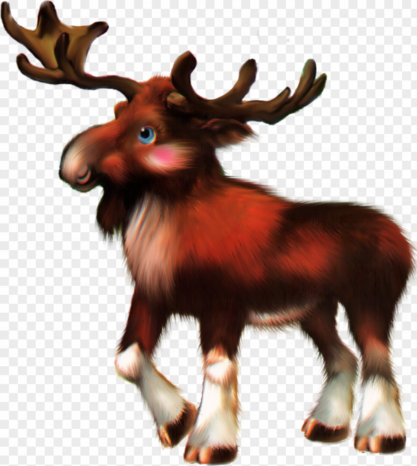 Forest Animal Reindeer PNG