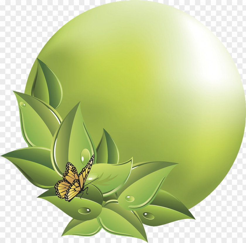 Green Butterfly Ring Icon PNG