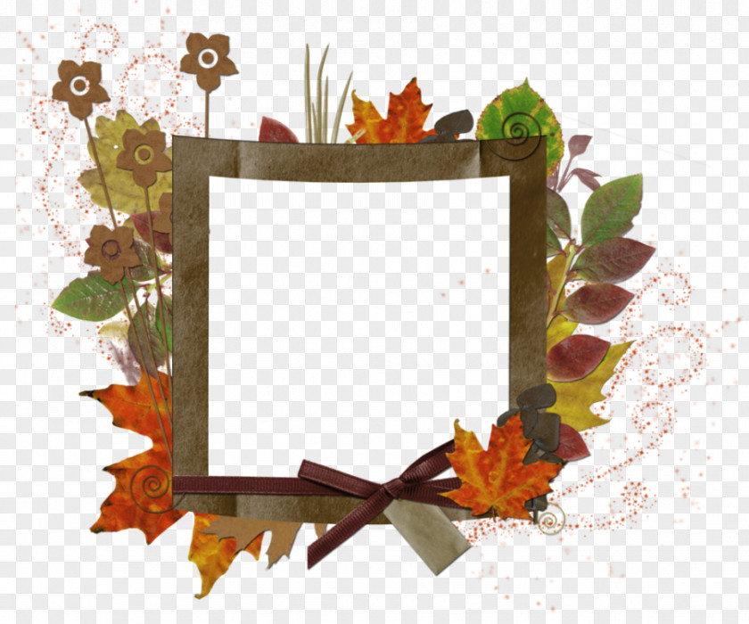 Picture Frame PNG