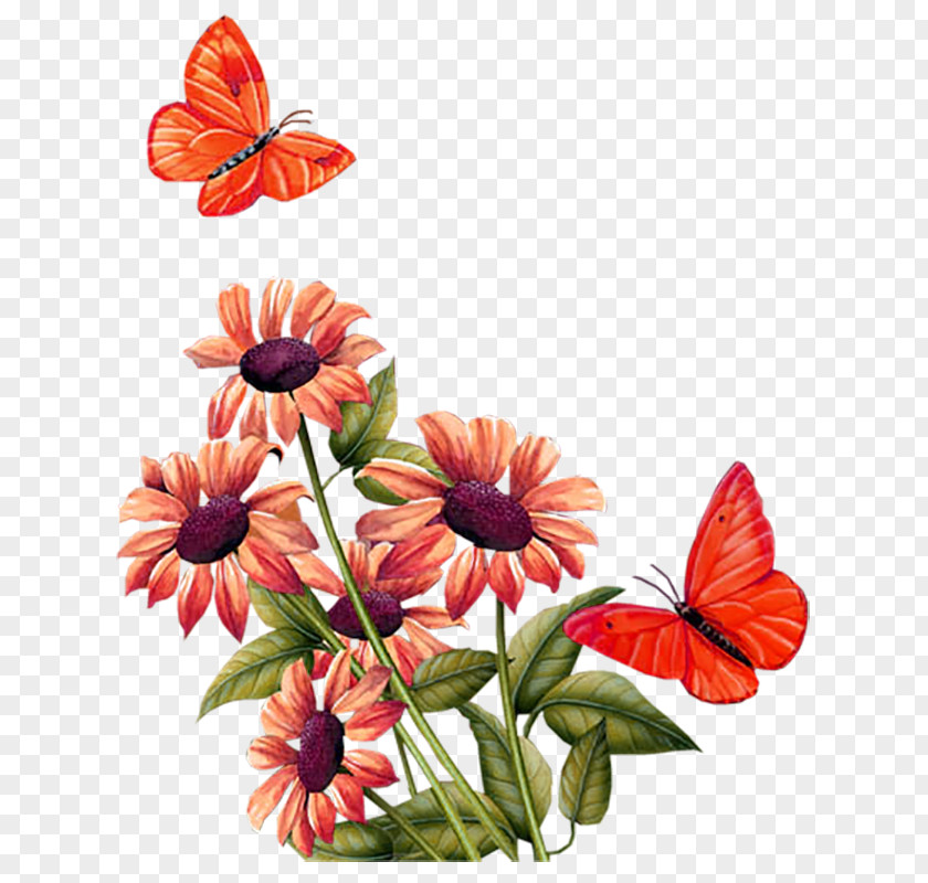 Sunflower Butterfly Animation Letter Clip Art PNG