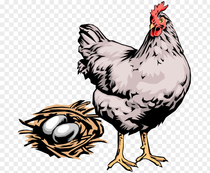 Wing Livestock Easter Egg Background PNG