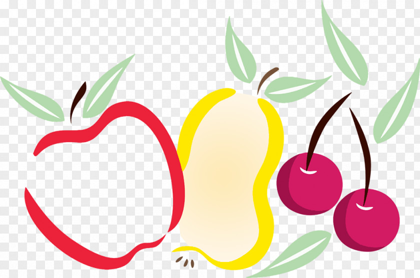 Apple Cherry Fruit Organic Food PNG