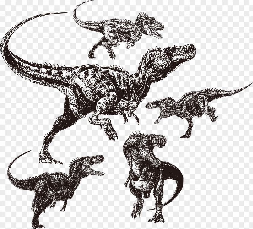 Dinosaurs Vector Pattern Painted Black Velociraptor Tyrannosaurus Alectrosaurus Afrovenator Utahraptor PNG