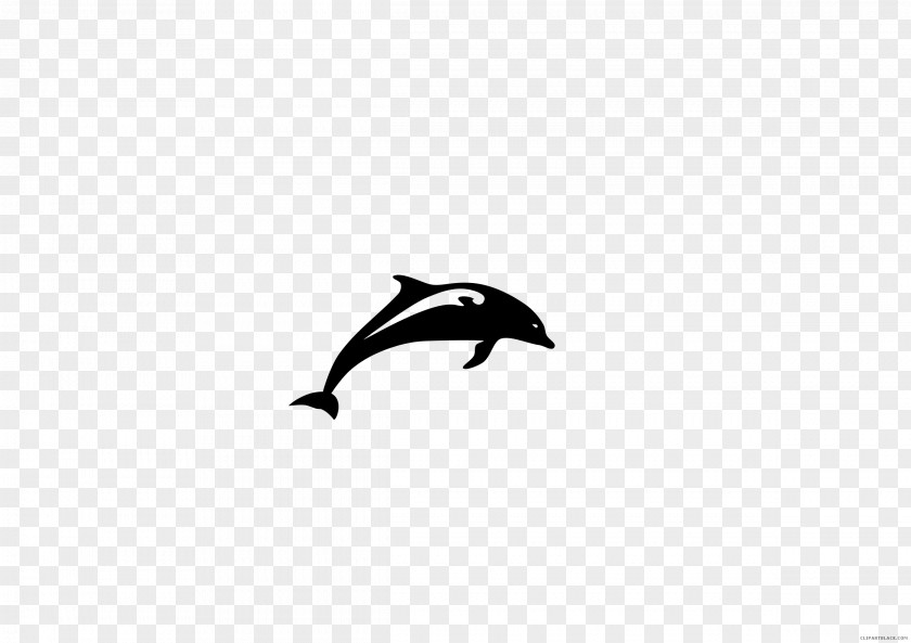 Dolphin Art Clip PNG