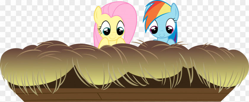 Hayloft Fluttershy Rainbow Dash Applejack Cutie Mark Crusaders Princess Cadance PNG