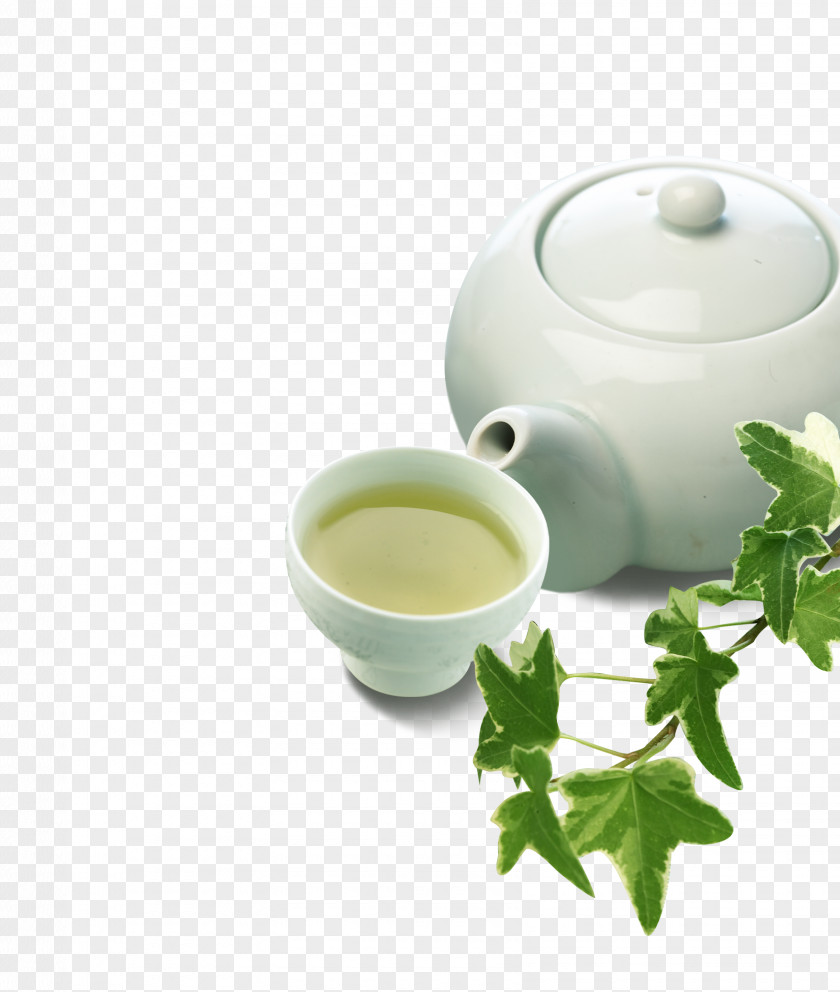 Ideapie Tea Green Cup Chawan Teaware PNG