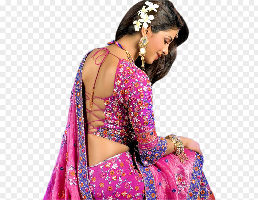 India WOMAN Sari Clothing Dress Tere Naam PNG