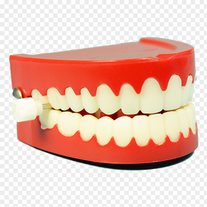 Pizzeria Mary Rose Chattery Teeth Wind-up Toy Human Tooth Dental Implant PNG