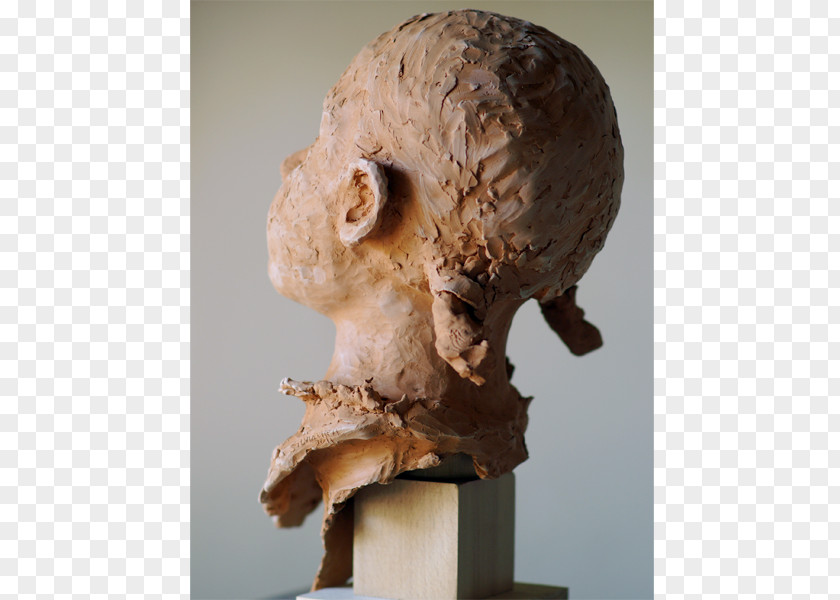 Skull Bust Sculpture Portrait Jaw PNG