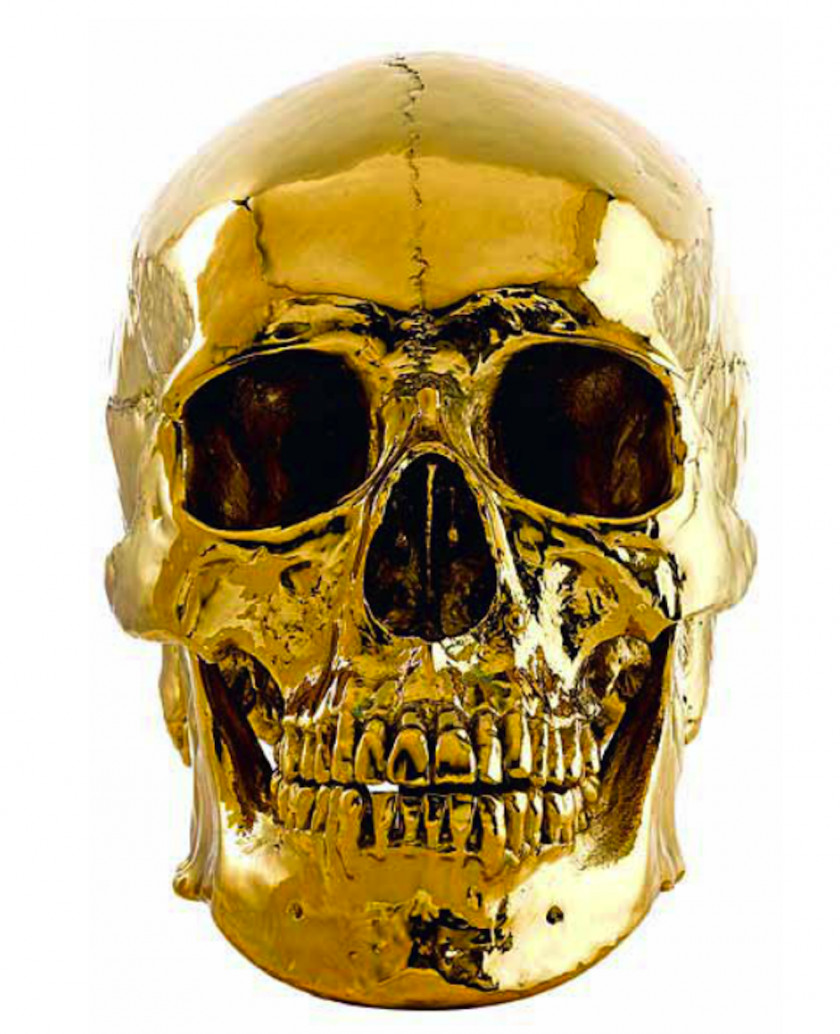 Skulls Animal Gold Skeleton Skull Art PNG