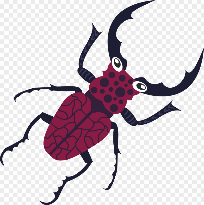 Vector Bug Hand Painted Illustration PNG