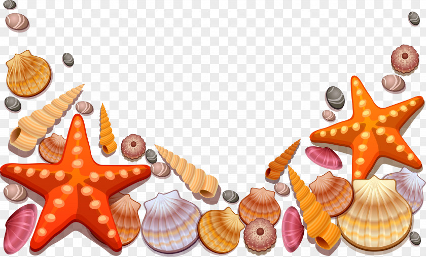 Vector Starfish Seashell Clip Art PNG