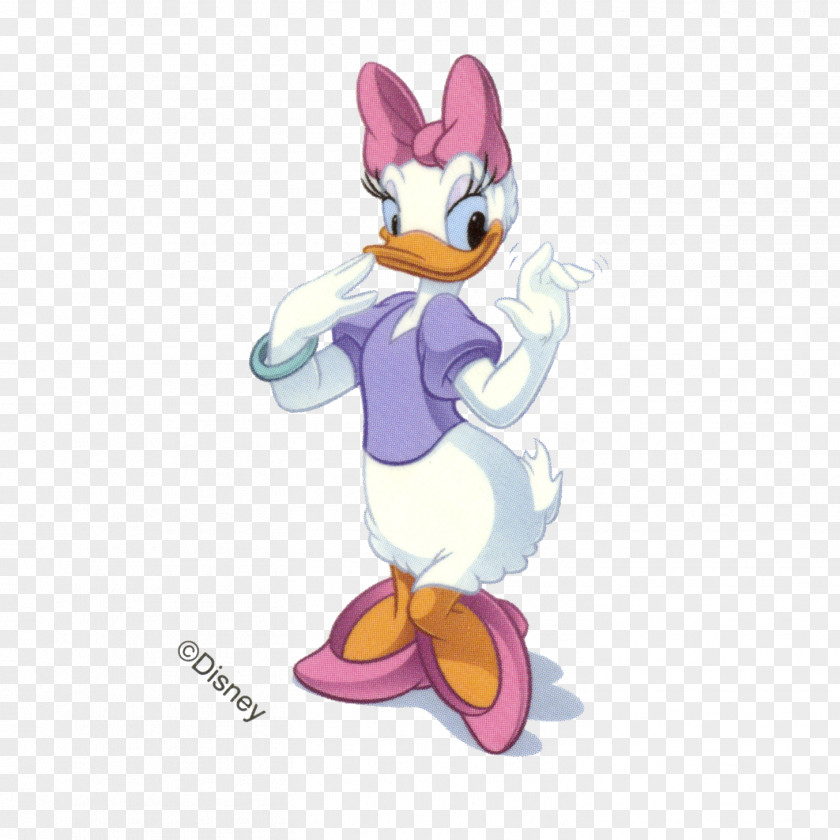 DUCK Daisy Duck Donald Minnie Mouse Mickey PNG