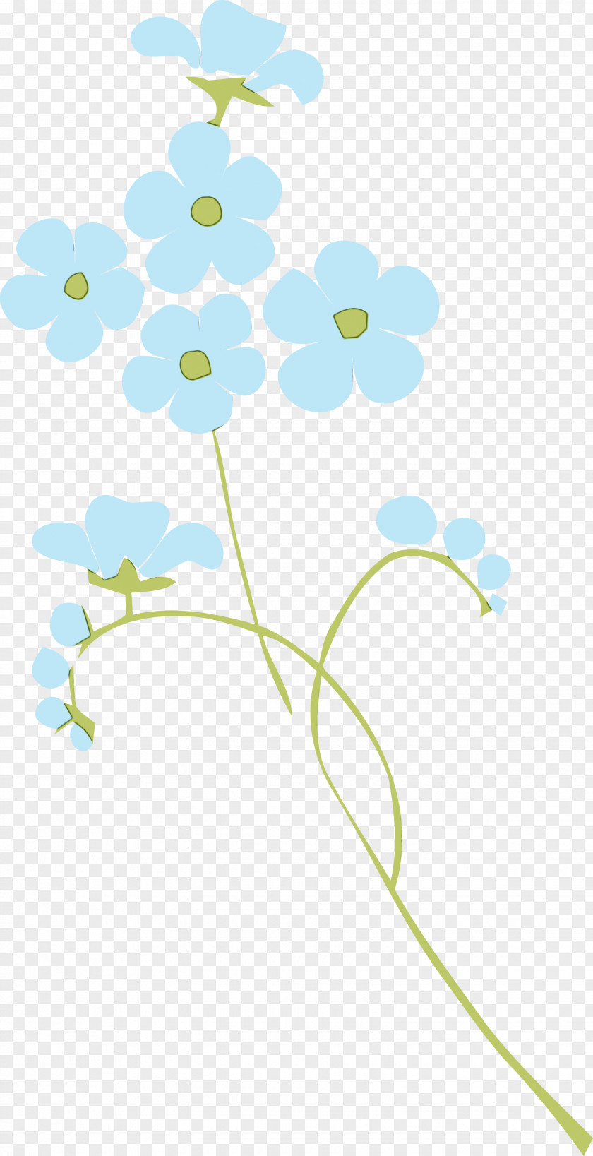 Floral Design PNG