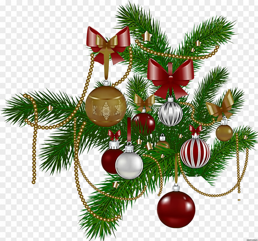 Pine Fir Christmas Decoration PNG