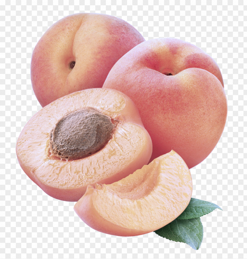 Drupe Apricot European Plum Food Fruit Plant Peach PNG
