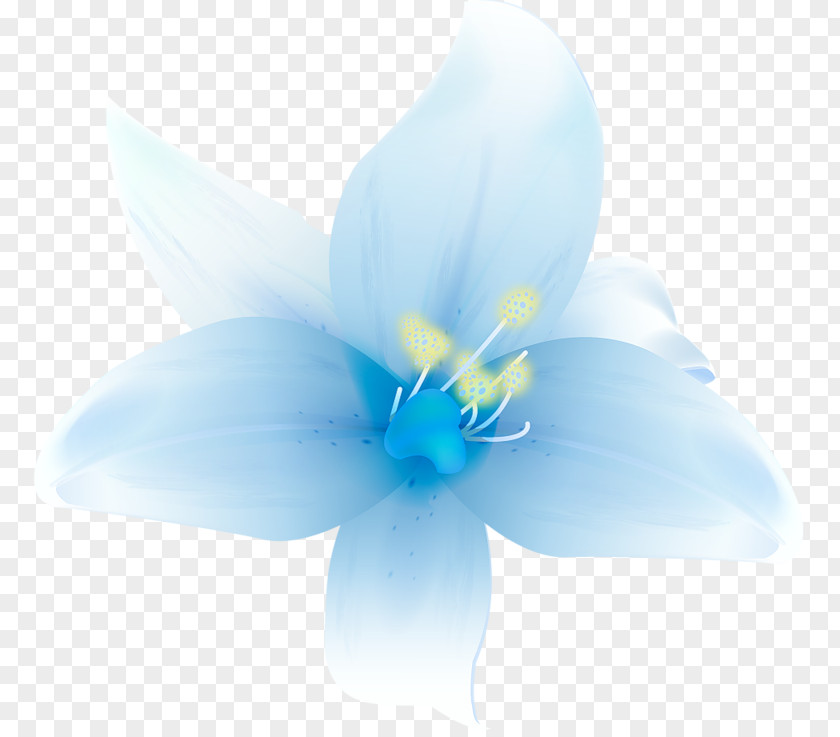 Large White Lilium Clipart Petal Blue Flower Graphics Wallpaper PNG