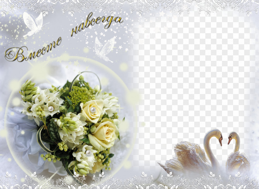 Personalized Wedding Photo Album Frame Transparent Background Photography Wallpaper PNG