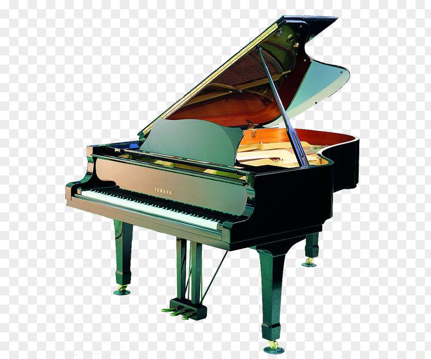 Piano Grand Musical Instrument Keyboard Clip Art PNG