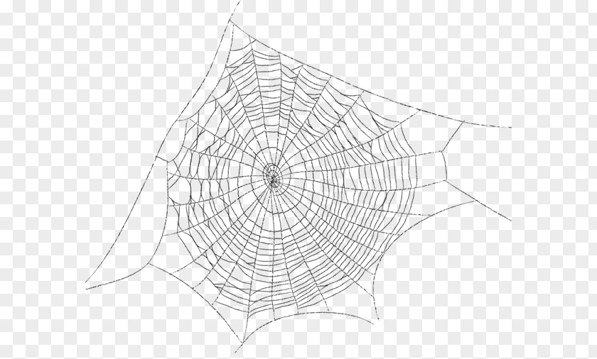 Spider Web Drawing PNG