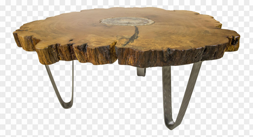 Table Coffee Tables Petrified Wood Bedside Petrifaction PNG