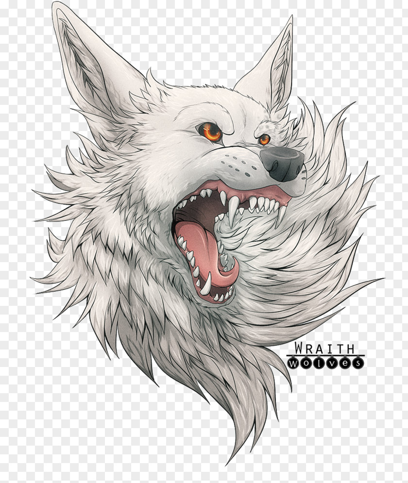 Angry Wolf Drawings Teeth Whiskers Cat Illustration Snout PNG