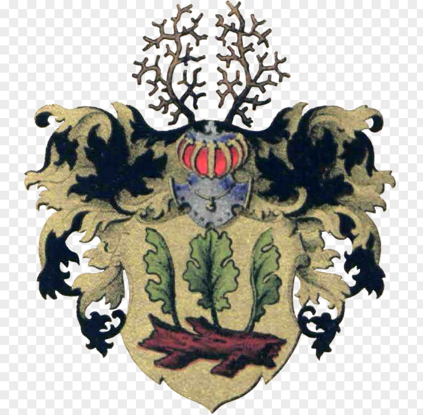Coat Of Arms Heraldry Csapy Család Heraldic Badge Crest PNG