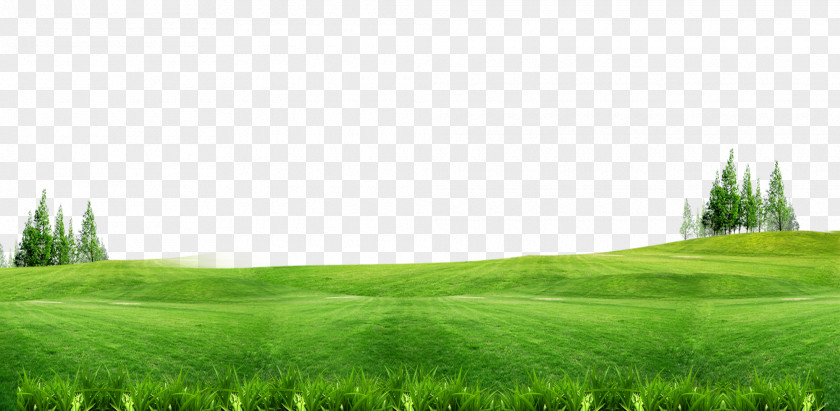 Green Grass Background Free Of Material Download Lawn Gratis Wallpaper PNG