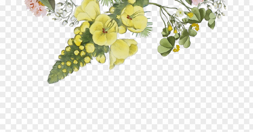Blossom Petal Flower Plant Yellow Flowering Branch PNG