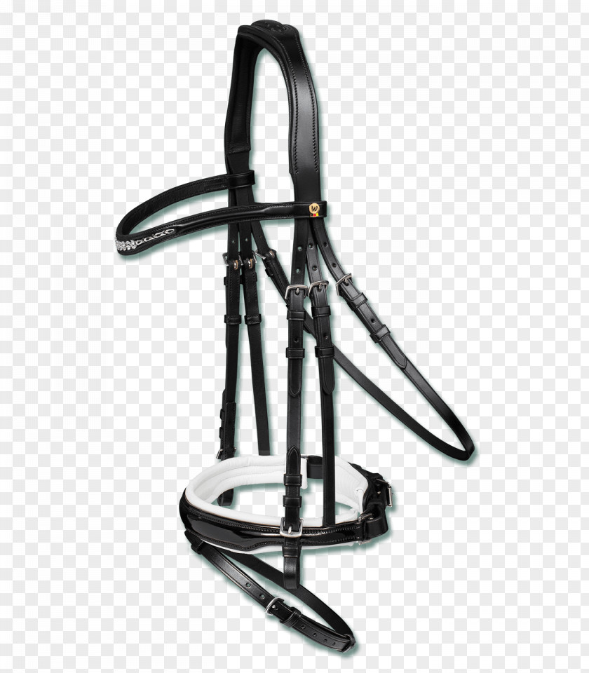 Bridle Bit Filet Rein Noseband PNG