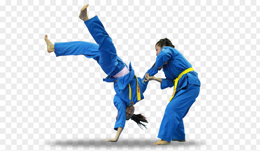 Karate Judo Vovinam Martial Arts Taekkyeon PNG
