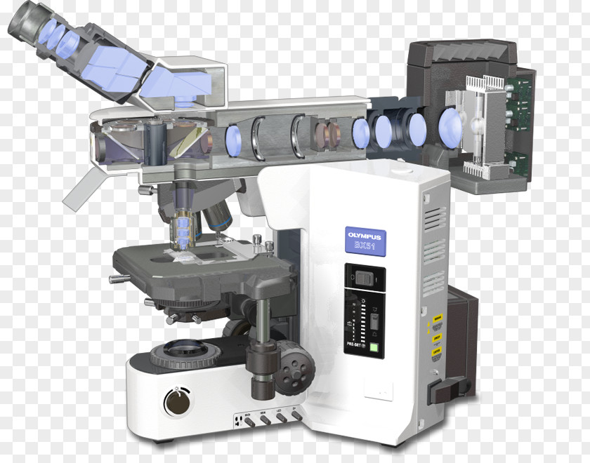 Stage Light Fluorescence Microscope Principles Of Spectroscopy Confocal Microscopy PNG