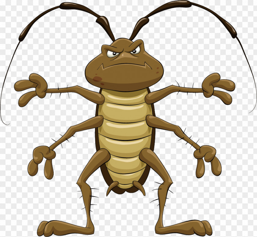 Beetle Cockroach Cartoon Royalty-free Clip Art PNG