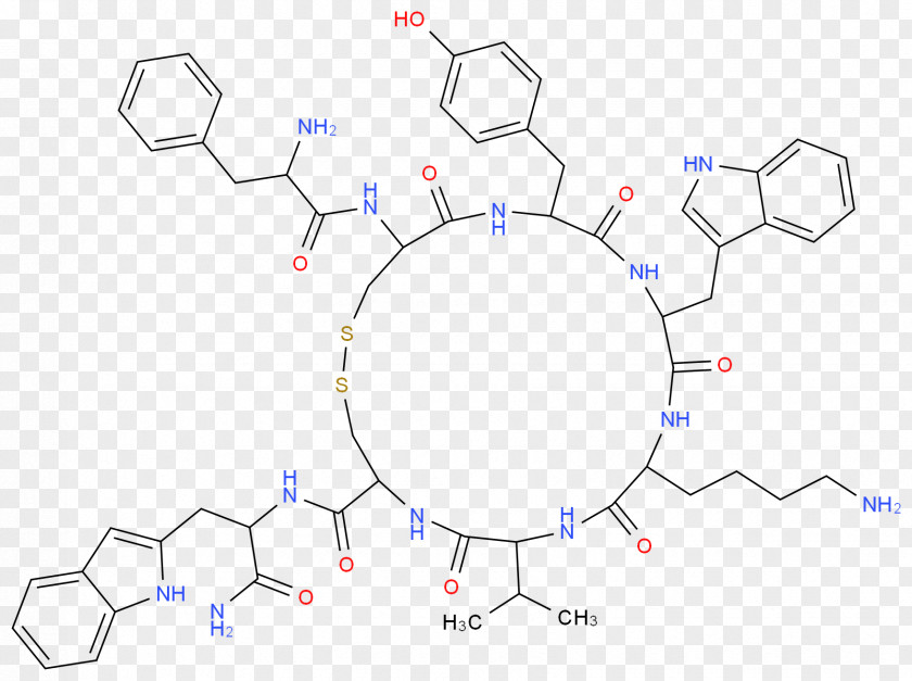 Chocolate Molecule Structure Angle Point Circle Product Diagram PNG