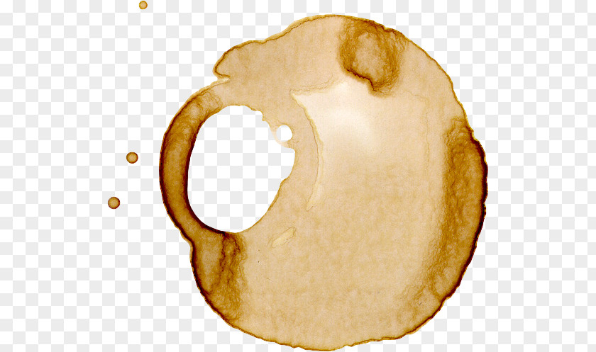 Coffee Bean Cafe Stain PNG