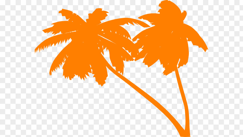 Palm Trees Vector Ceroxyloideae Tree Clip Art PNG