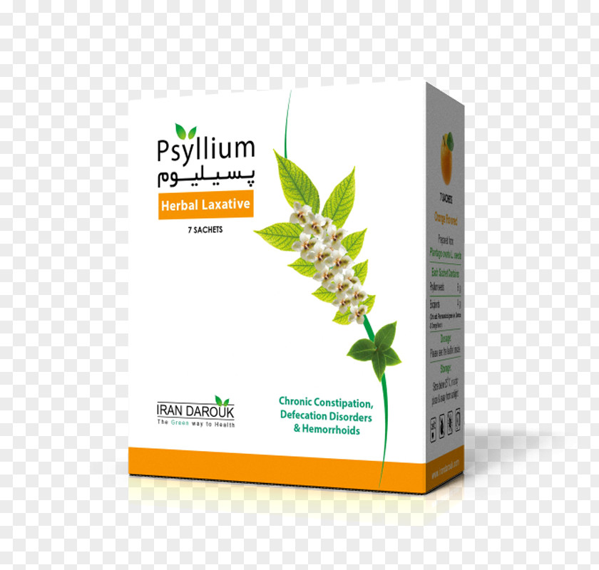 Plant Sand Plantain Psyllium Constipation Laxative PNG