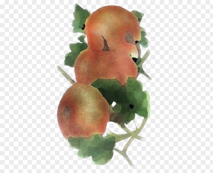 Plant Watercolor Paint Flower Vegetarian Food Fruit PNG