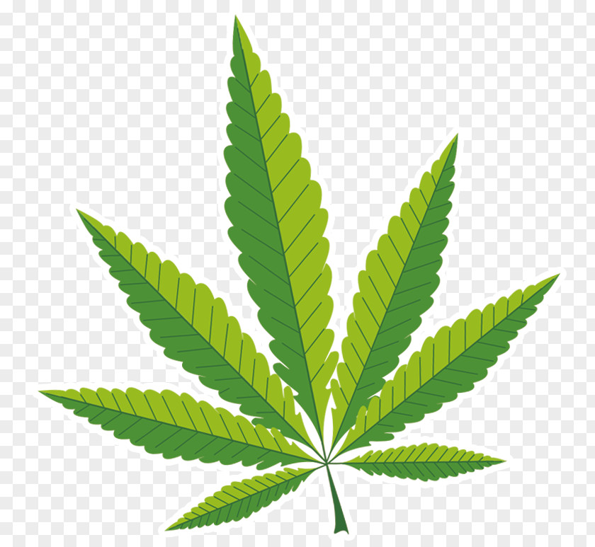 Saw Custom Graphics Medical Cannabis Clip Art Hemp Cannabidiol PNG