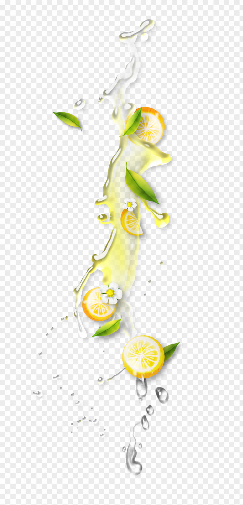 Splash Of Orange Juice PNG