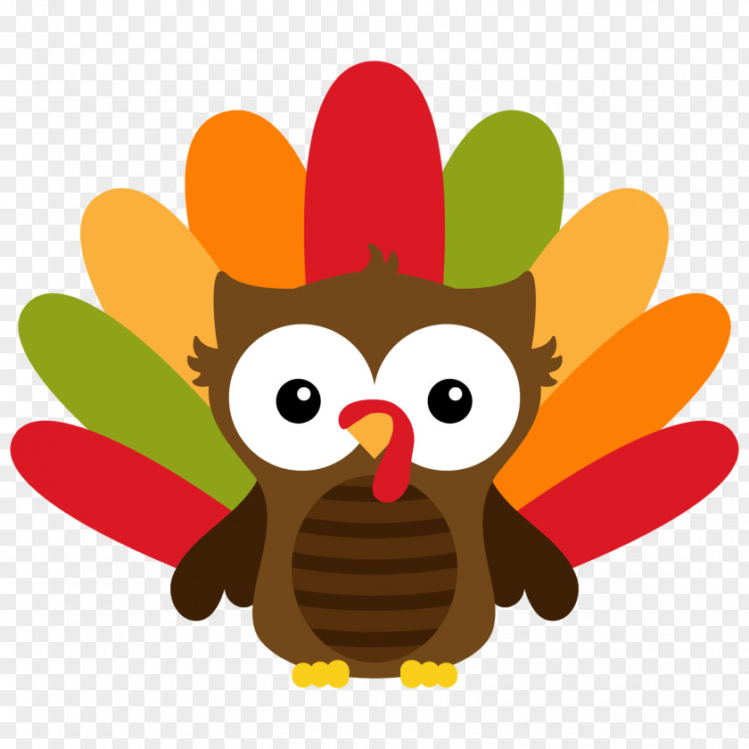Thanks Giving Owl Bird Thanksgiving Clip Art PNG
