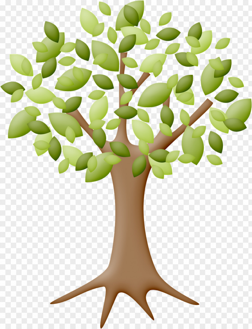 Tree Drawing Branch Photography PNG