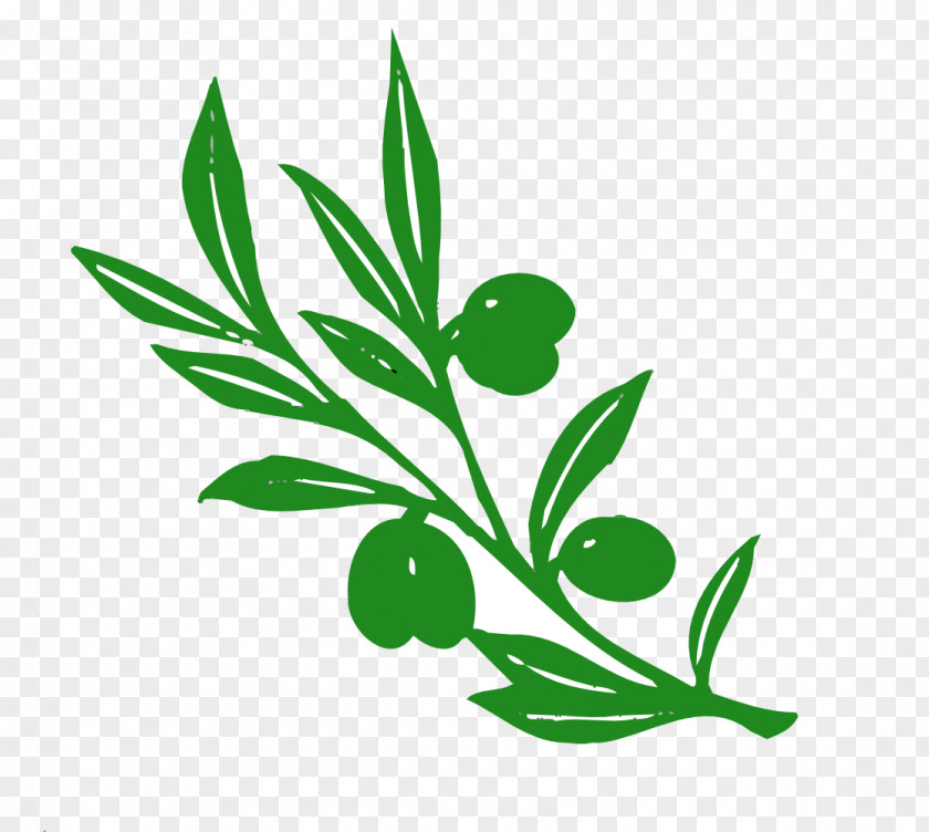 Branch Leaves Cliparts Olive Clip Art PNG
